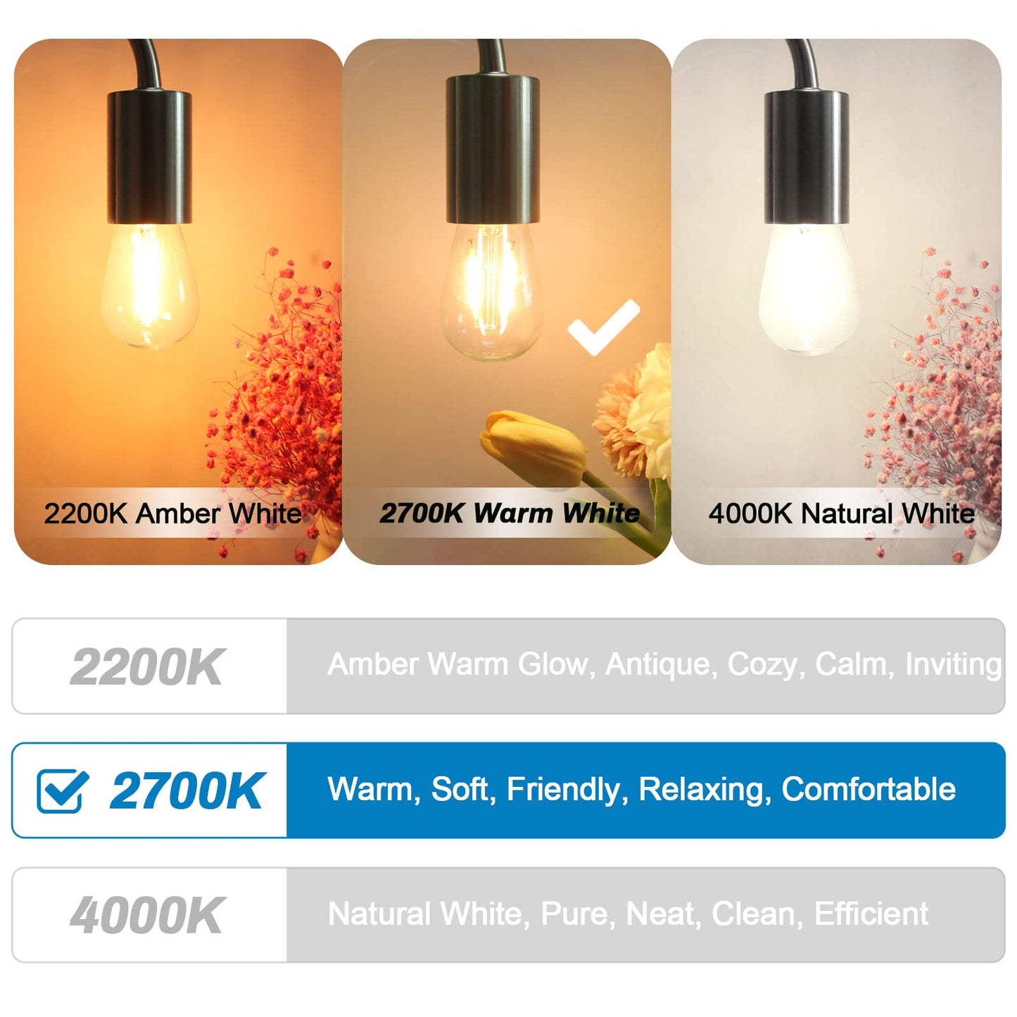 LangPlus+ 25 Pack S14 2W LED Glass Light Bulbs, E27 Base, Warm White 2700K, Edison LED Bulbs for String Lights, Non-Dimmable, 2W Equivalent to 20W Incandescent Bulb