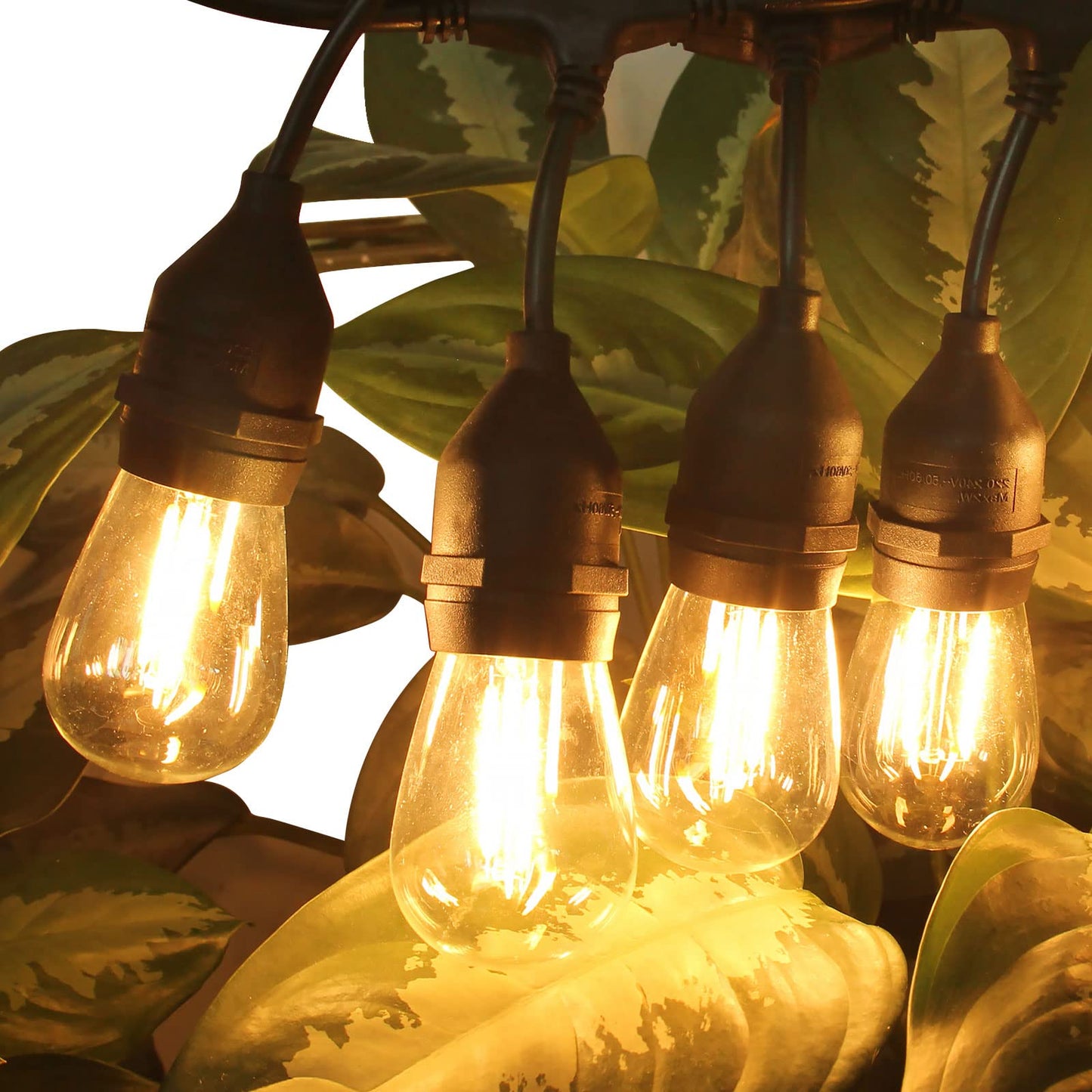 LangPlus+ 100FT Outdoor LED String Lights with 30Pcs 2W S14 LED Bulbs, Heavy Duty Waterproof Garden String Festoon Lights for Wedding Yard Decking Patio